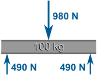梁100kg力：980N 平衡 2 乘 490N